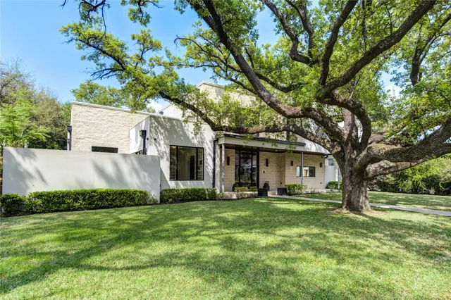 a view of a backyard with a large tree