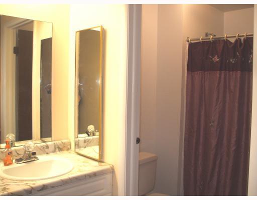 205 Countryside Drive McKees Rocks, PA 15136 - Photo 11 of 17 Master Bath/Spa.