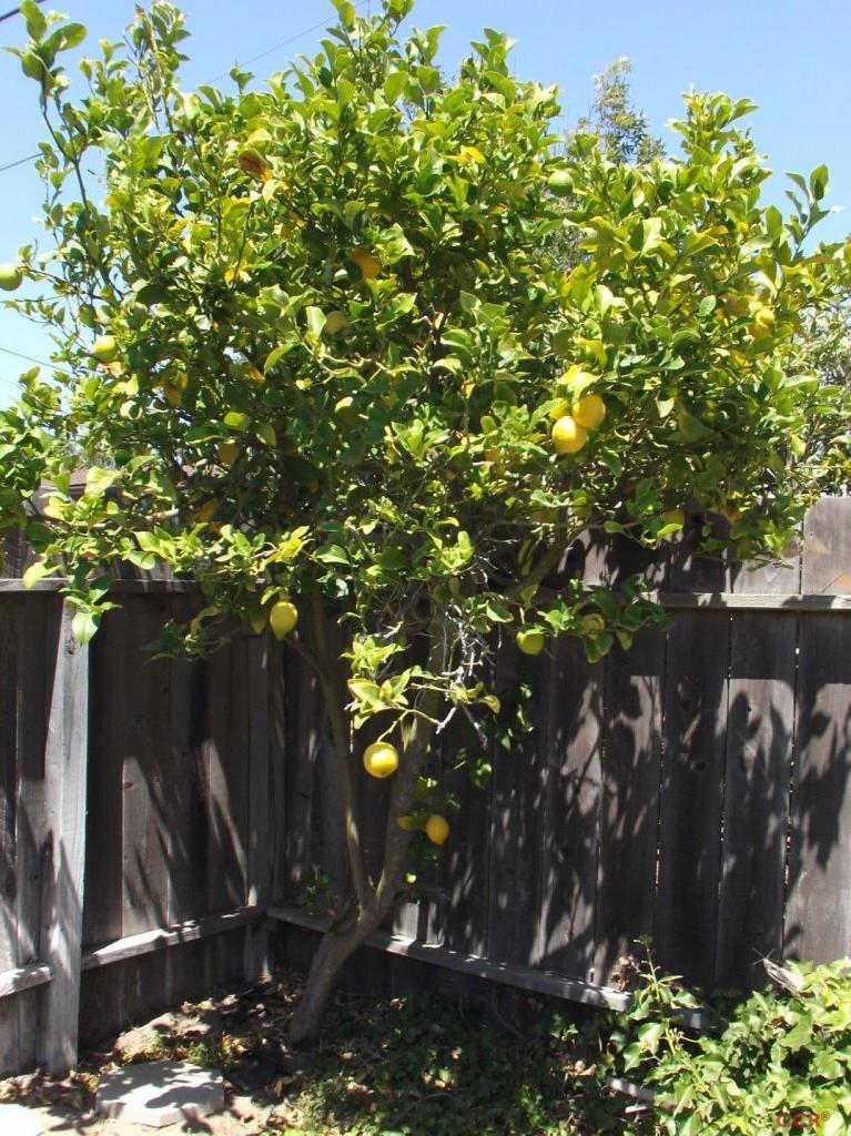 3405 Constellation Road Lompoc, CA 93436 - Photo 12 of 15 Additional Photo