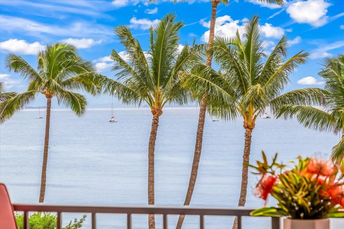 191 North Kihei Road, Unit 402 Kihei, HI 96753 - Photo 27 of 48 a view of a palm tree with a plant
