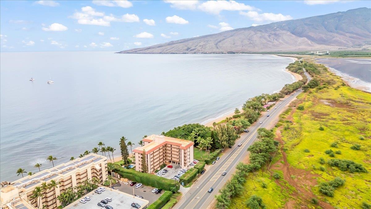 191 North Kihei Road, Unit 402 Kihei, HI 96753 - Photo 34 of 48 a vase of flowers sitting on a table