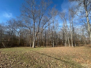 25 Max Drive Paris, TN 38242 - Photo 31 of 32 a view of outdoor space with trees