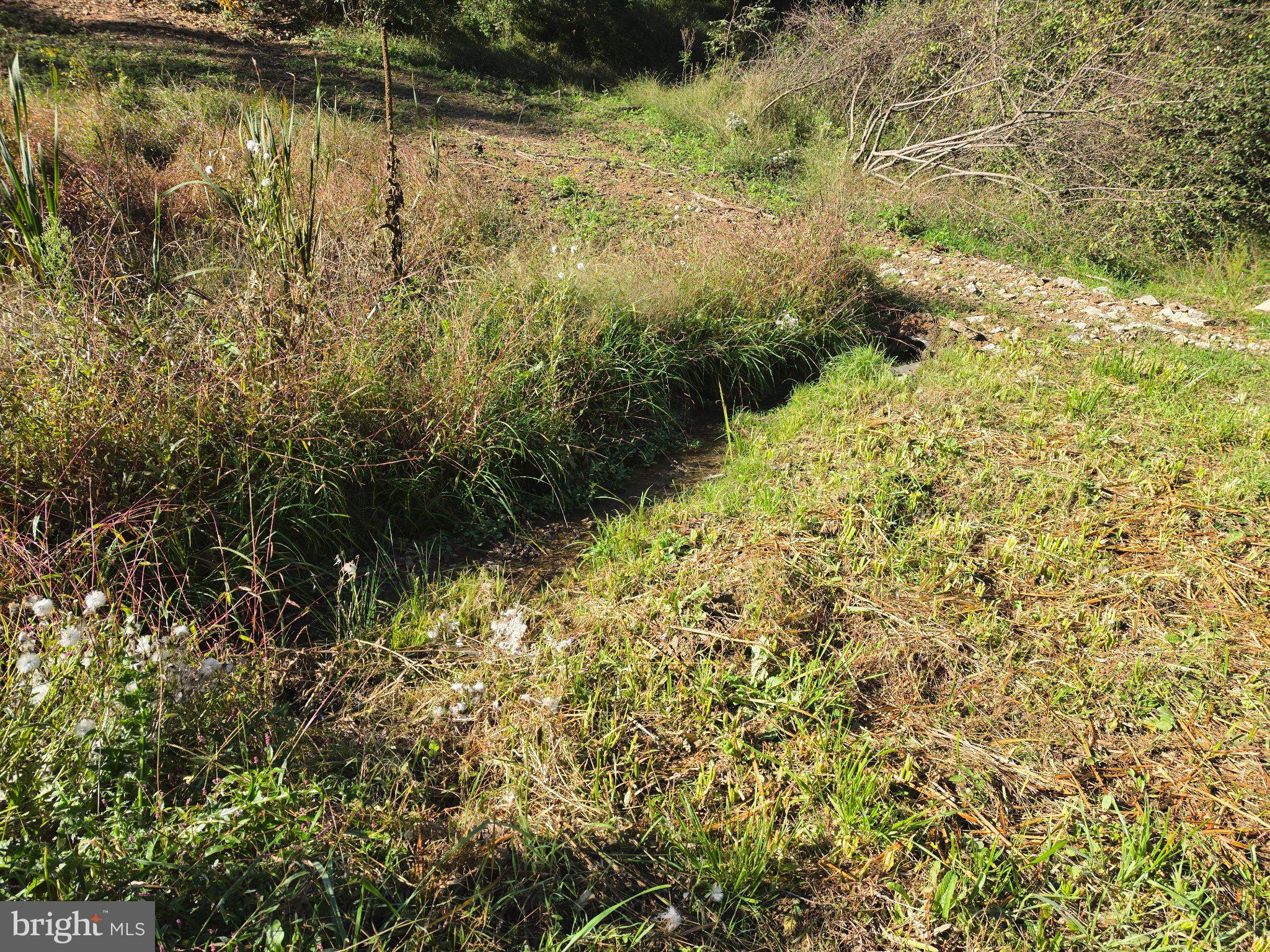 5-6 Proctor Road Old Fields, WV 26845 - Photo 23 of 44 Gallery Image 23