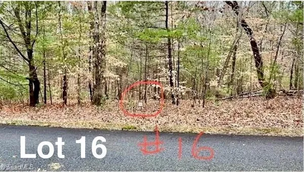 $29,999 | Lot 16 Woods Haven Lane, Stuart, VA 24171