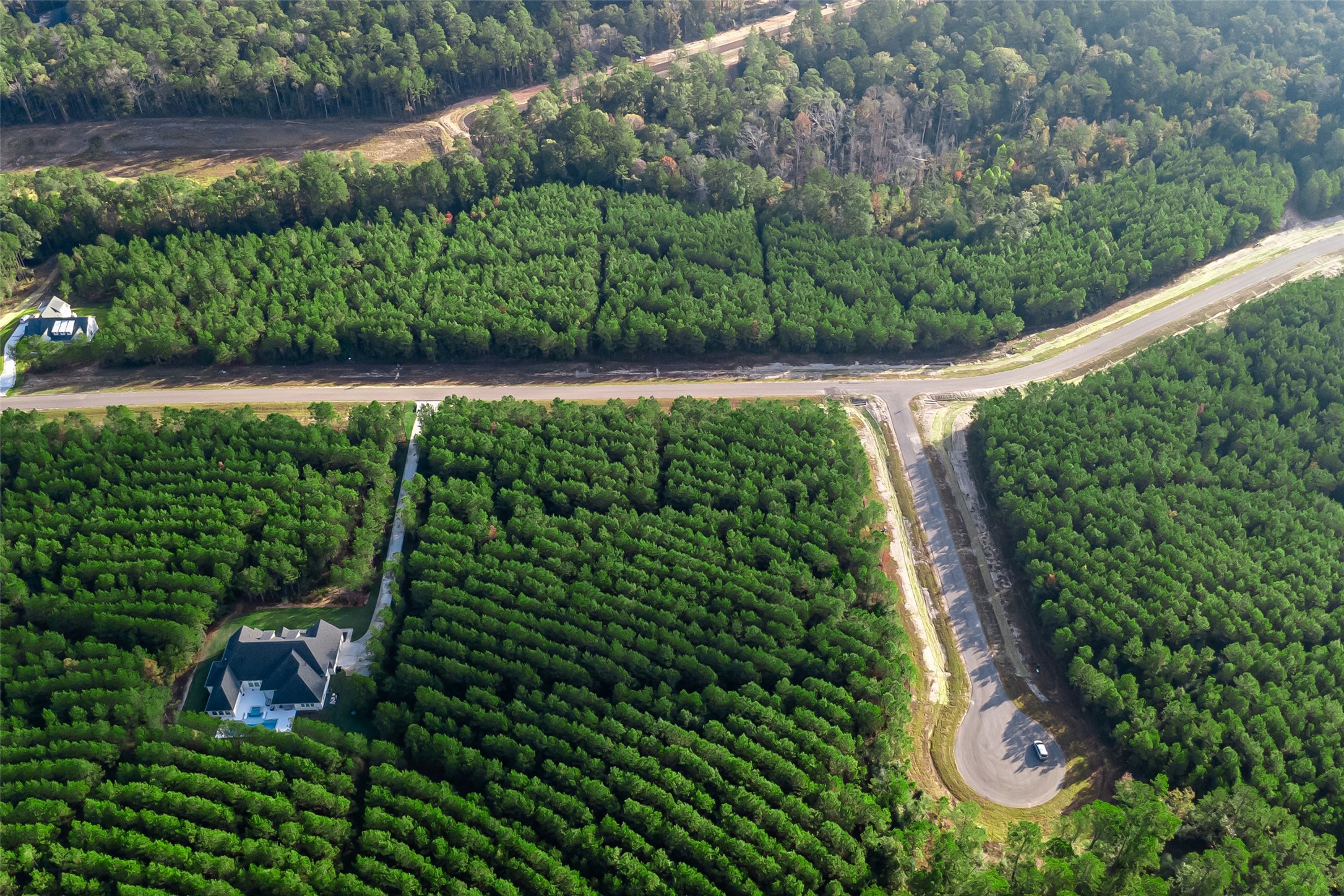 10517 Legends Road Willis, TX 77378 - Photo 11 of 14 a view of a garden with plants