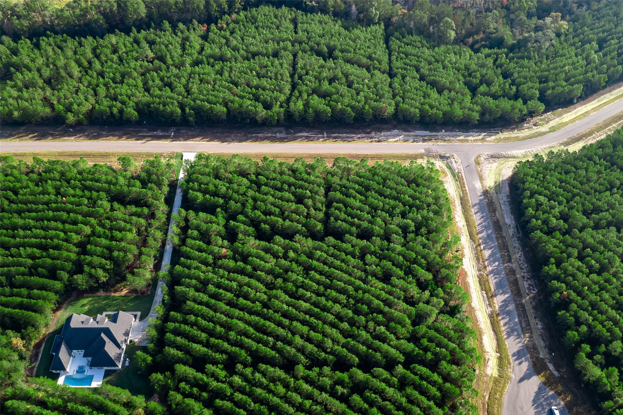 10517 Legends Road Willis, TX 77378 - Photo 13 of 14 a view of a garden
