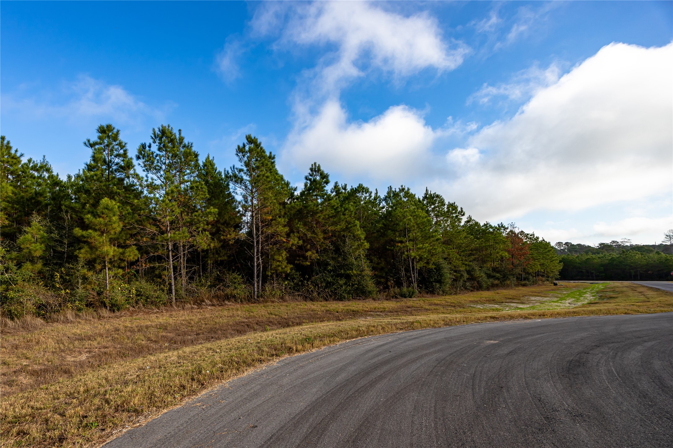 10517 Legends Road Willis, TX 77378 - Photo 2 of 14 a view of a yard with large trees