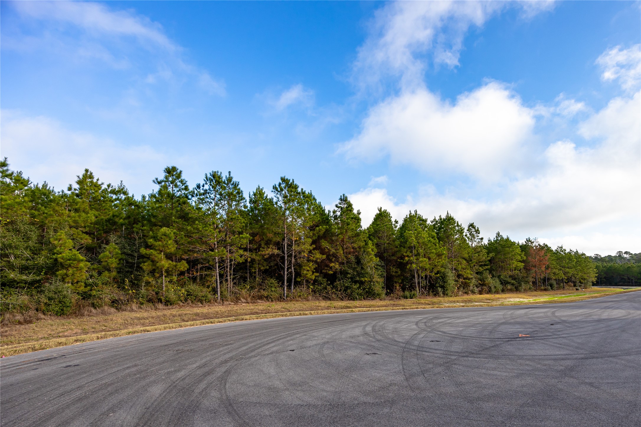 10517 Legends Road Willis, TX 77378 - Photo 5 of 14 a view of a big yard with large trees
