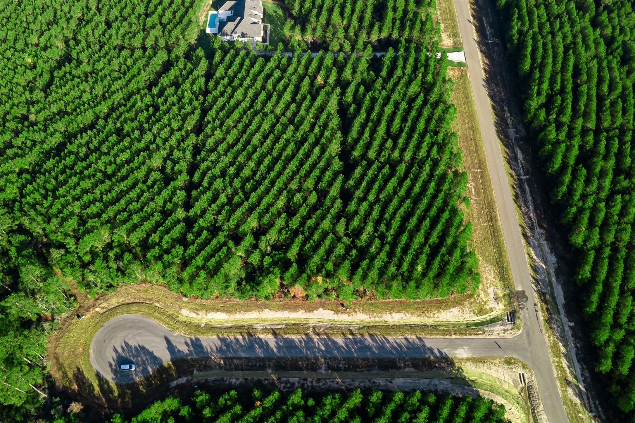 10517 Legends Road Willis, TX 77378 - Photo 10 of 14 a view of swimming pool in a backyard of house