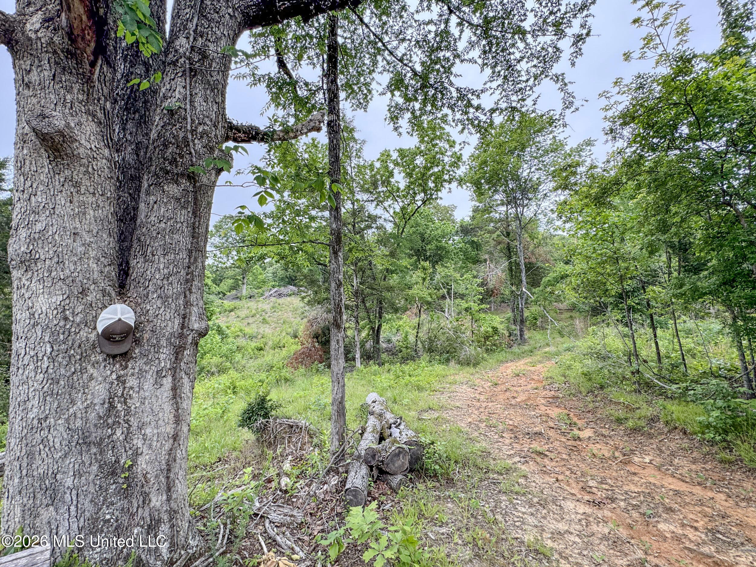 Wayne Massie Road Como, MS 38619 - Photo 101 of 184 5cdtbs33