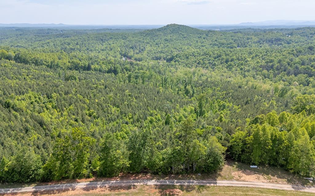 Tbd Ahart Ridge Road, Unit 58 60 61 Ararat, VA 24053 - Photo 53 of 54 Gallery Image 53
