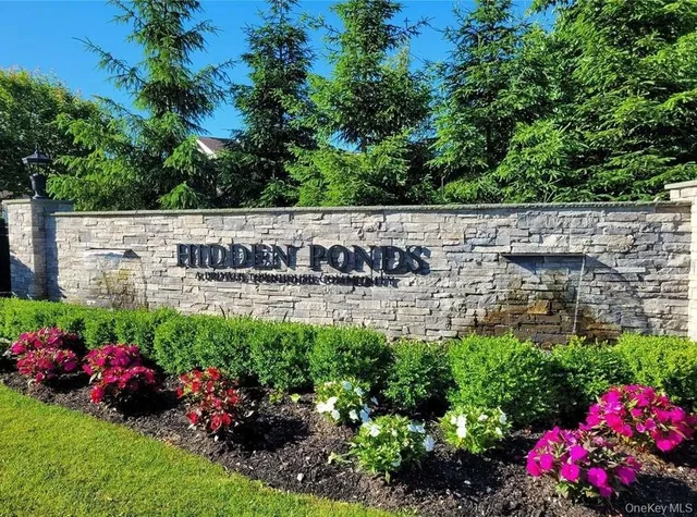 a view of a bunch of flowers