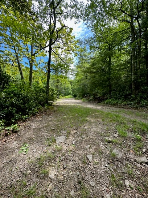 Tbd Blue Springs Road Troutdale, VA 24378 - Photo 40 of 52 Gallery Image 40