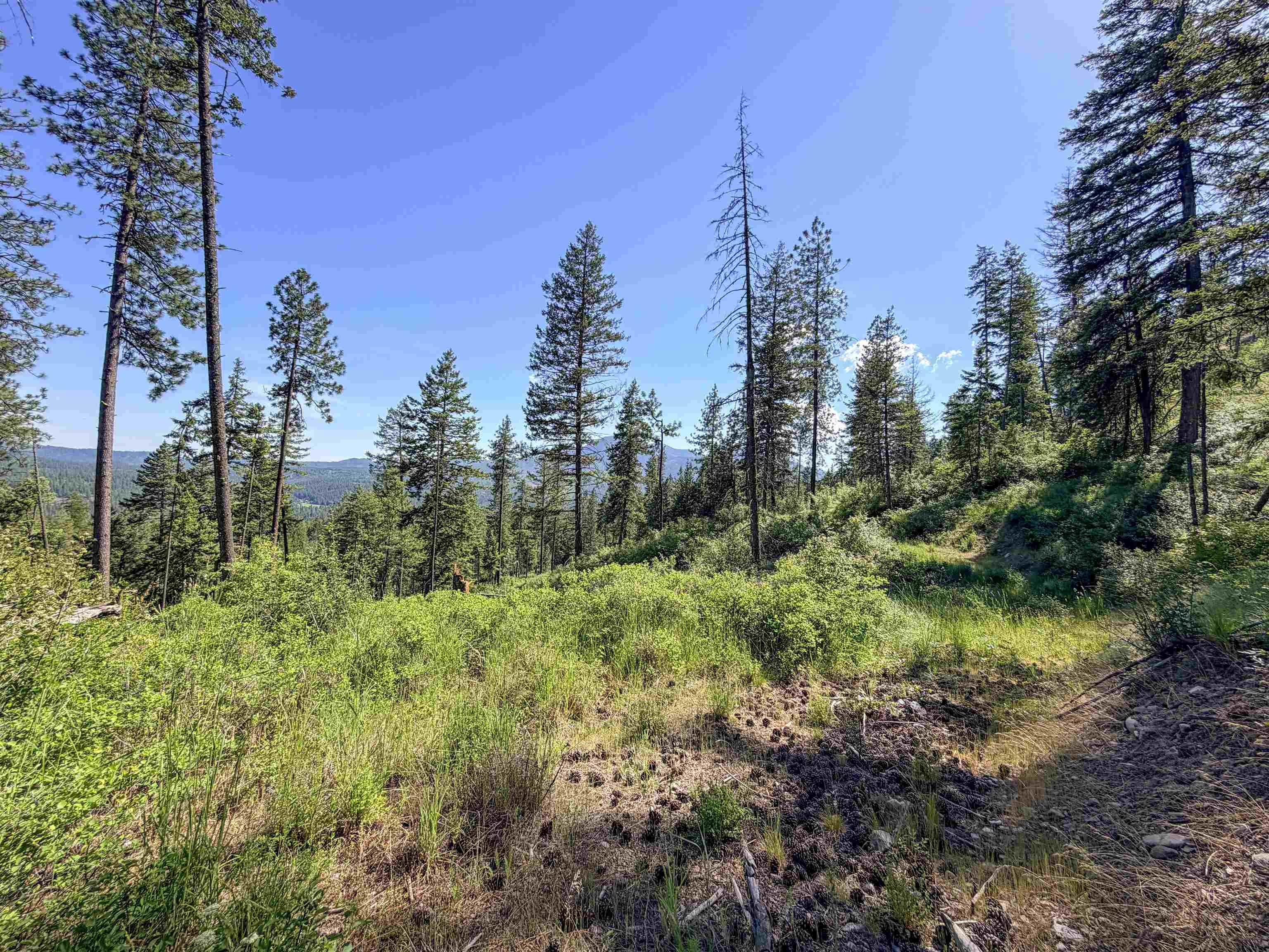 2008-tbd (e-h) Summit Valley Road Addy, WA 99101 - Photo 5 of 20