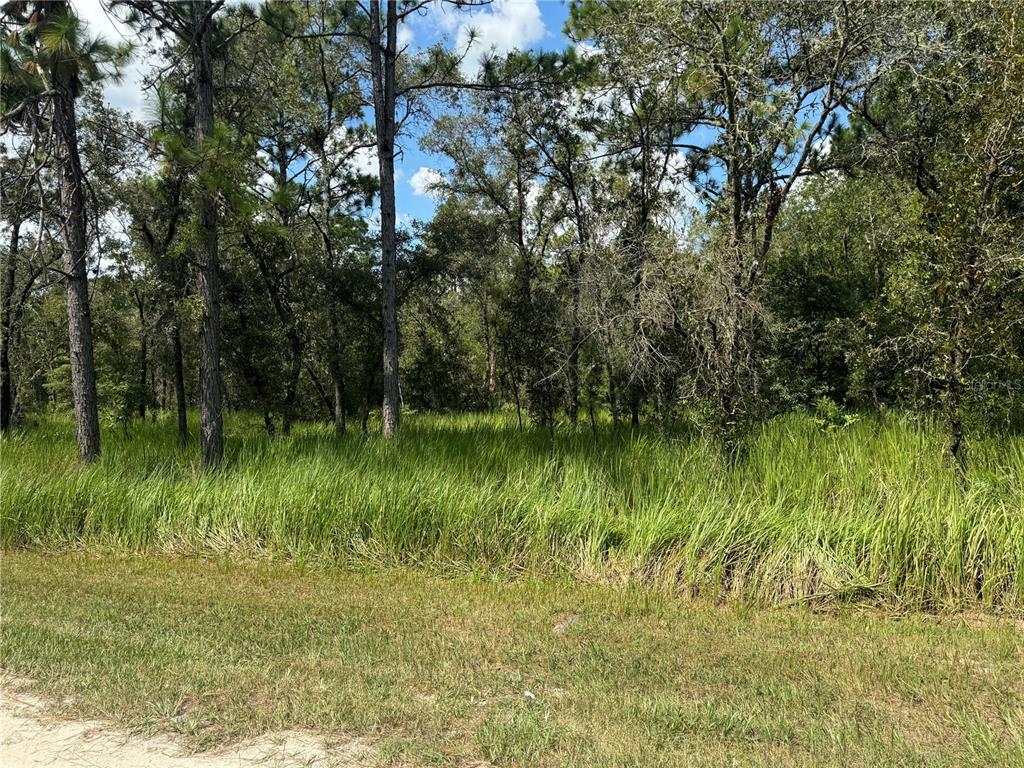 0 Southwest 125th Ct Road Dunnellon, FL 34432 - Photo 1 of 1