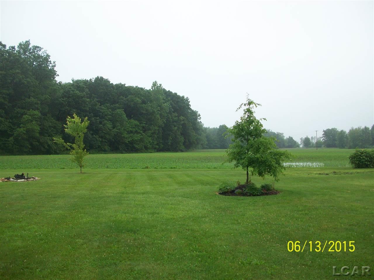 17811 Ida Center Road Petersburg, MI 49270 - Photo 20 of 67 31247879-19.JPG