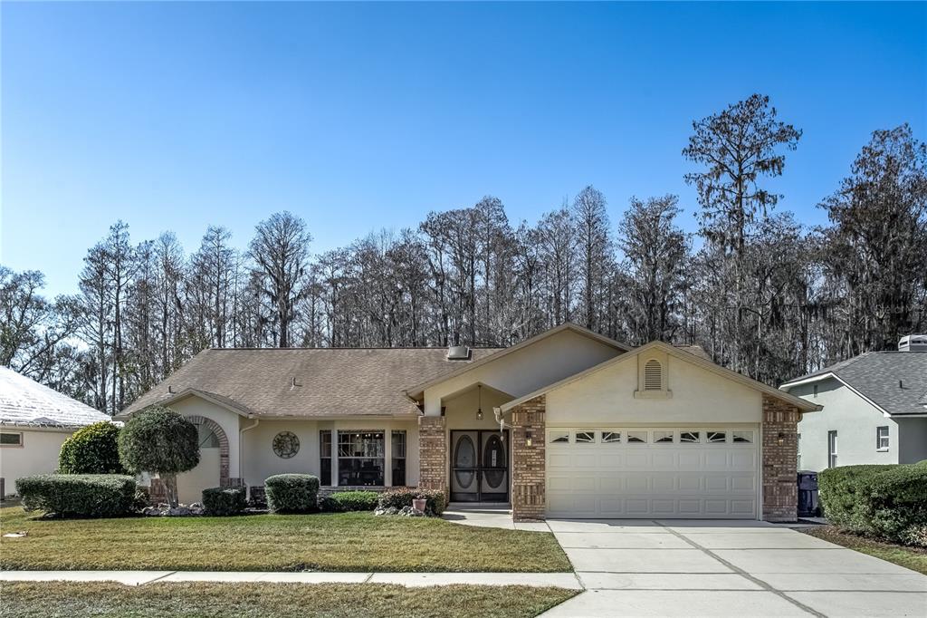 5045 Musselshell Drive New Port Richey, FL 34655 - Photo 24 of 25 Gallery Image 24