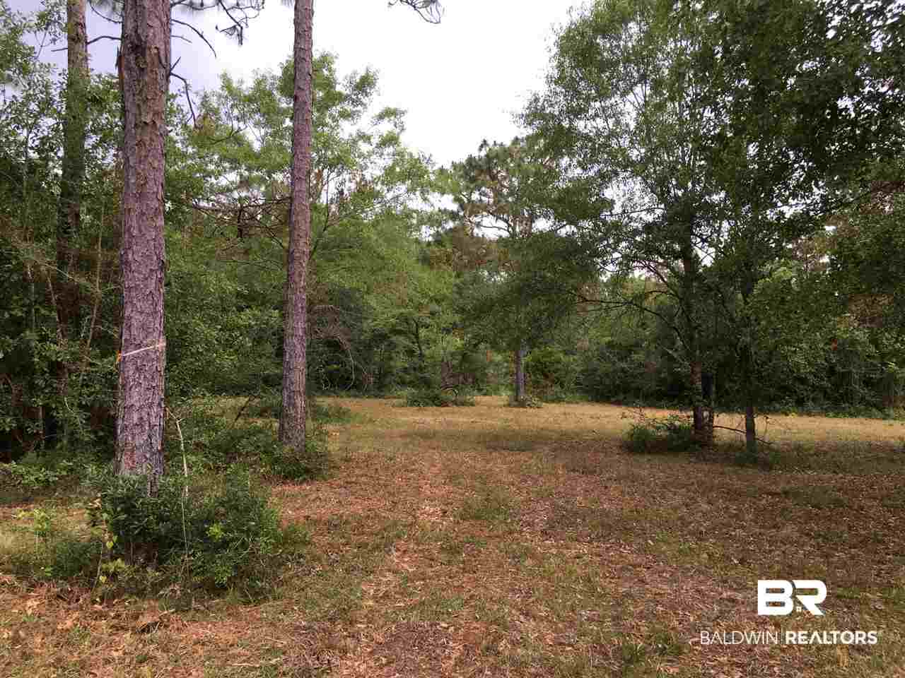 0 New Hope Church Road Robertsdale, AL 36567 - Photo 15 of 17