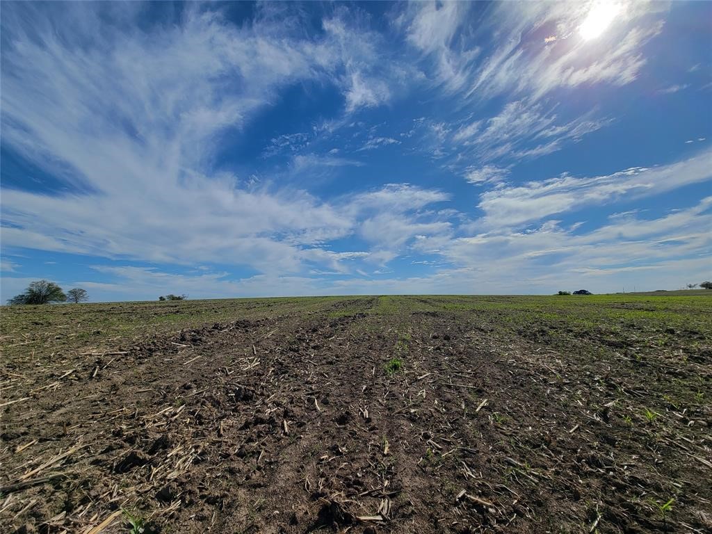 9750 Fm 971 Georgetown, TX 78626 - Photo 4 of 8