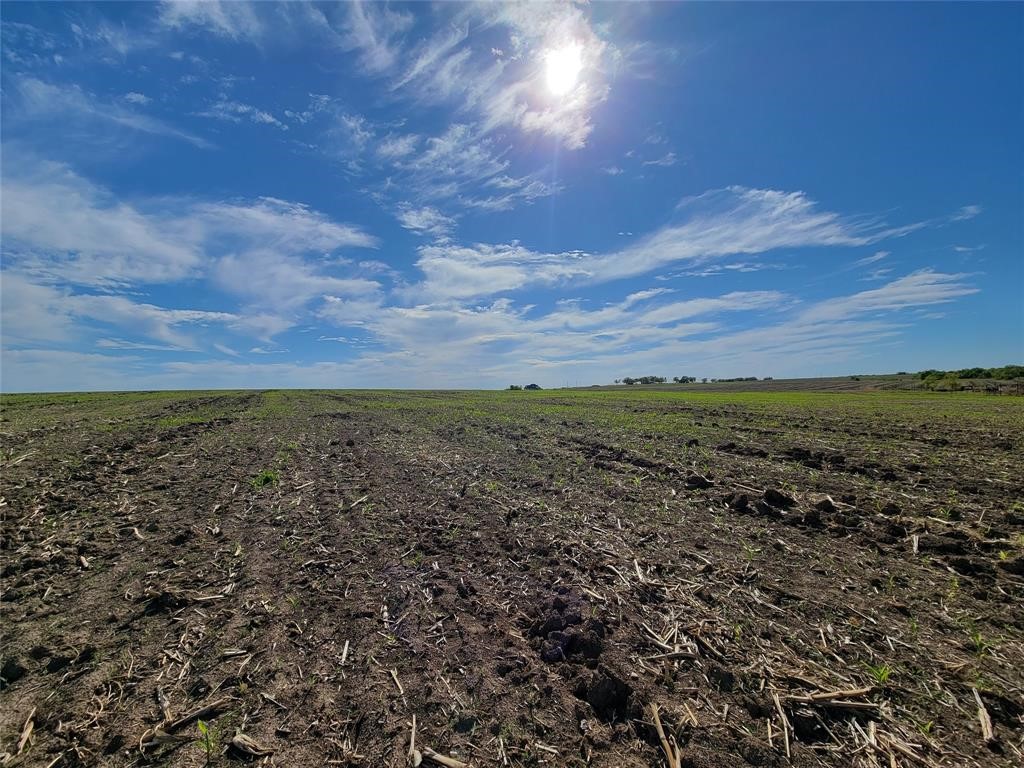 9750 Fm 971 Georgetown, TX 78626 - Photo 5 of 8