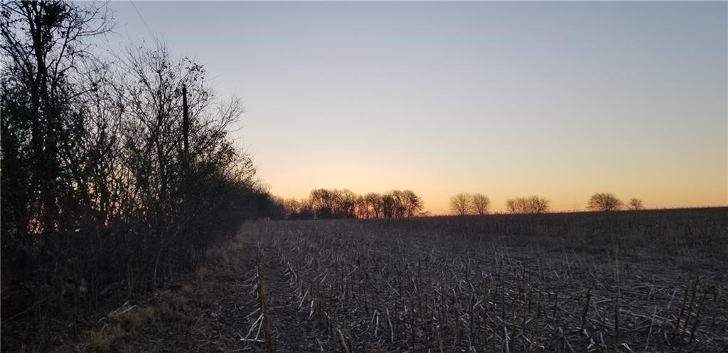 9750 Fm 971 Georgetown, TX 78626 - Photo 7 of 8