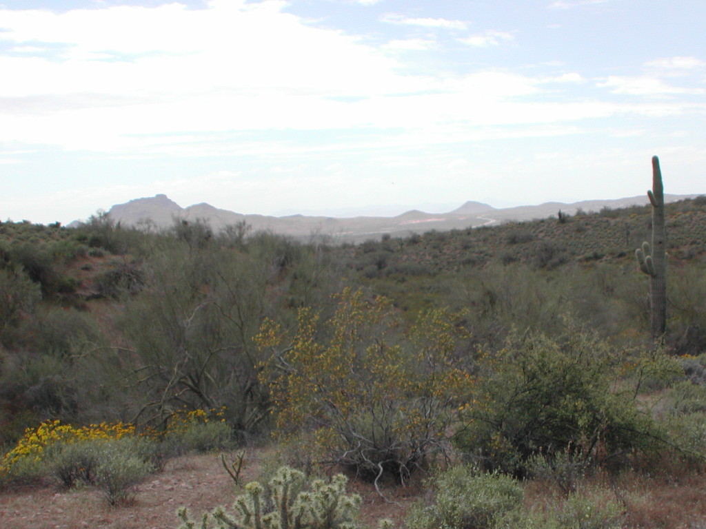 0 North Sandy Bluff Road, Unit 44N Fort McDowell, AZ 85264 - Photo 1 of 2 PHOTO