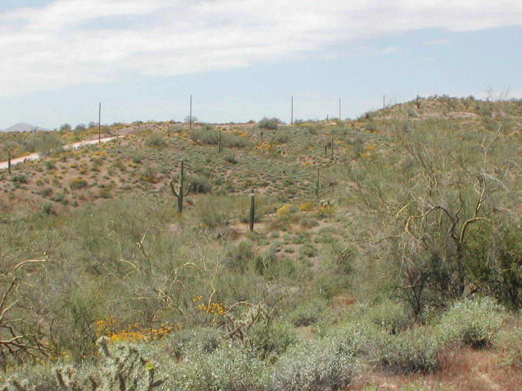 0 North Sandy Bluff Road, Unit 44N Fort McDowell, AZ 85264 - Photo 2 of 2 PHOTO