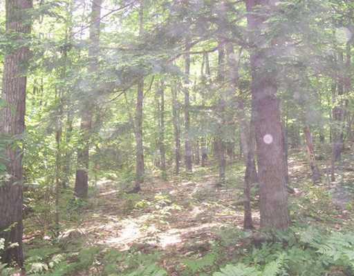 32-7 Friendship Acres Acres, Unit ACRES Bridgton, ME 04009 - Photo 4 of 13 Land/Lot.