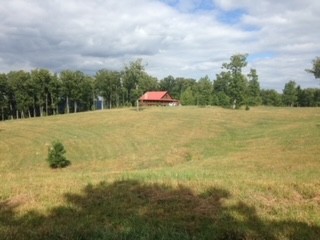 1229 Ayers Road Rock Island, TN 38581 - Photo 12 of 69