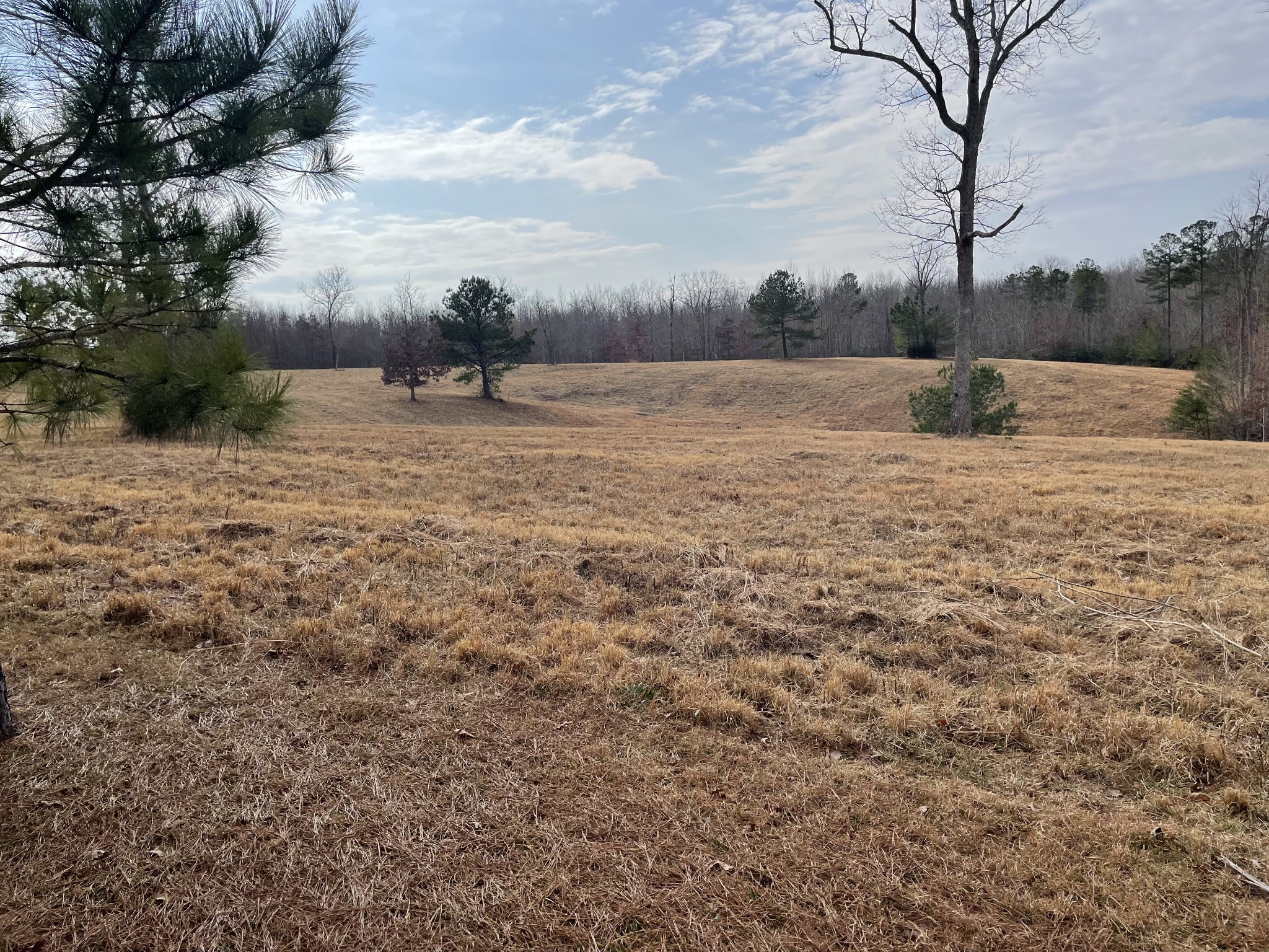 1229 Ayers Road Rock Island, TN 38581 - Photo 13 of 69 a view of swimming pool with a yard