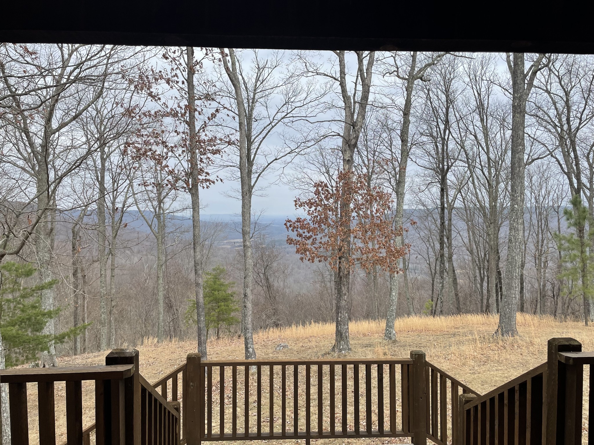 1229 Ayers Road Rock Island, TN 38581 - Photo 14 of 69 a view of a backyard with large trees and wooden fence
