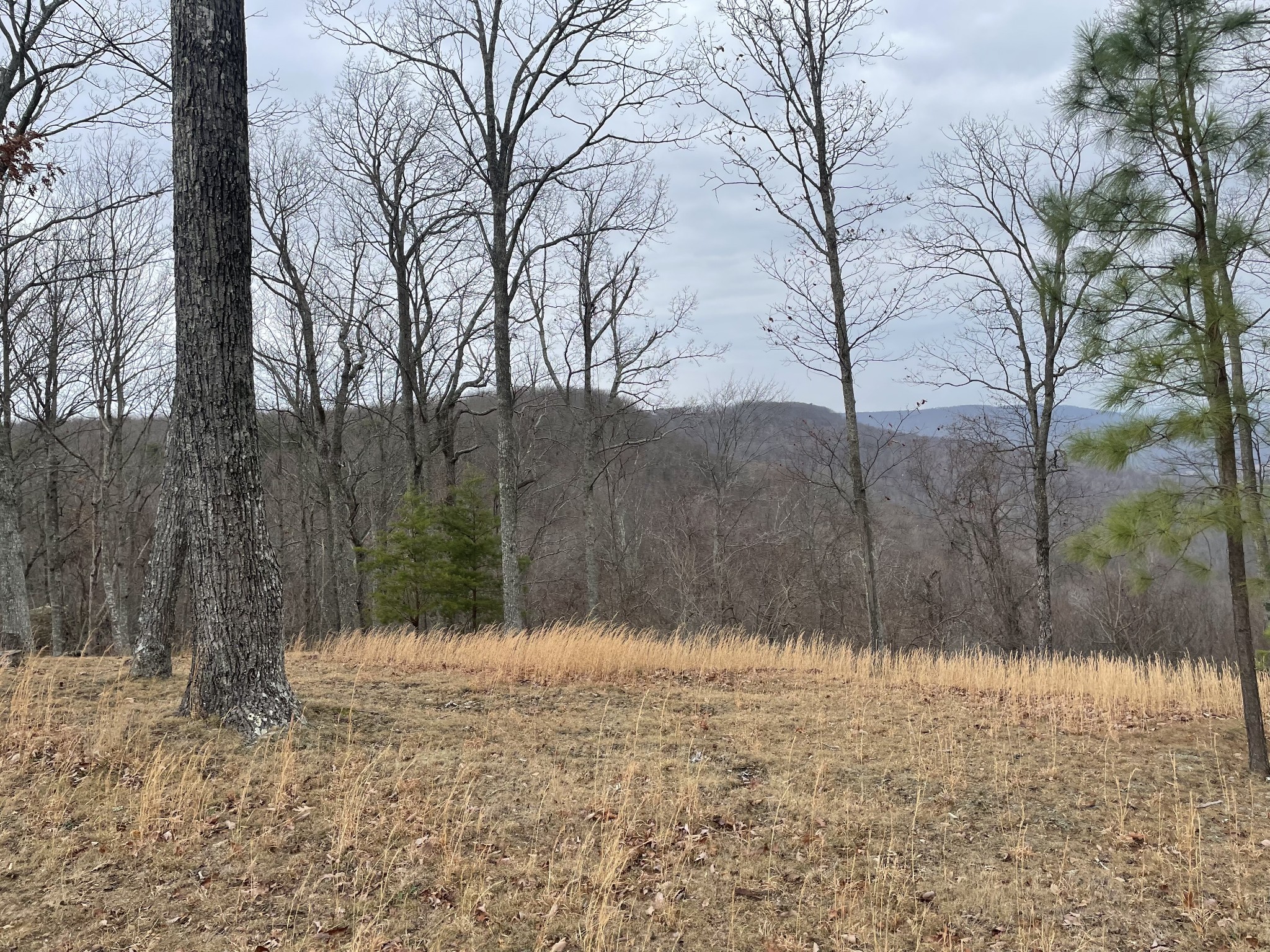 1229 Ayers Road Rock Island, TN 38581 - Photo 17 of 69 a view of snow covered with snow