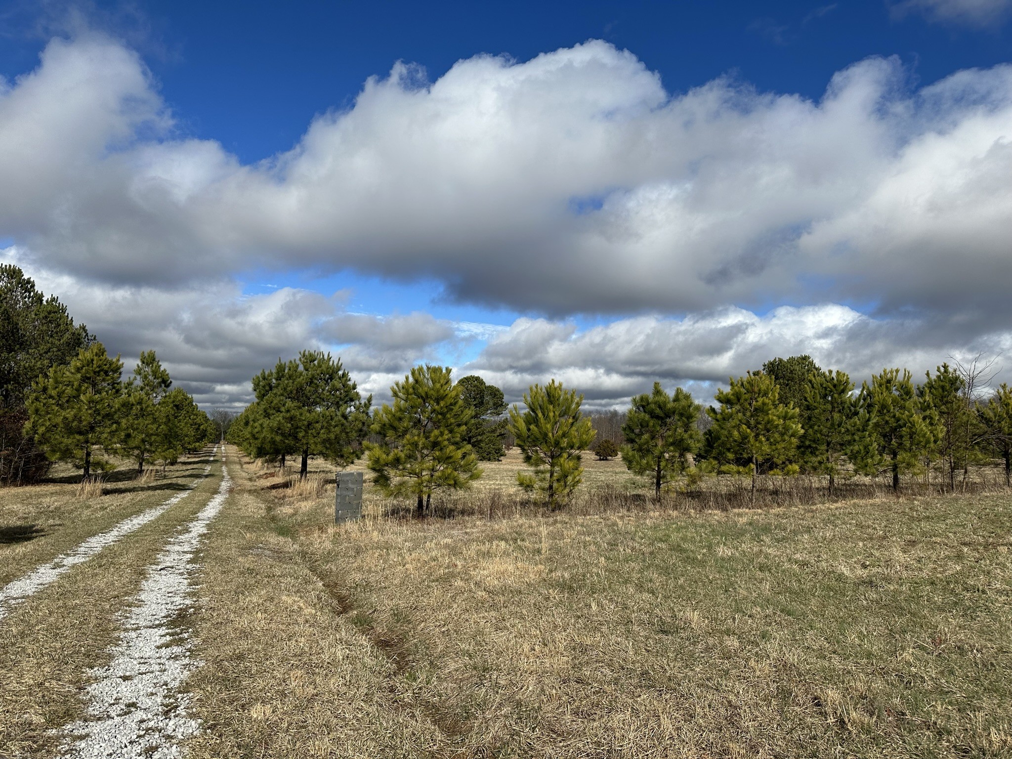 1229 Ayers Road Rock Island, TN 38581 - Photo 20 of 69 a view of outdoor space with city view