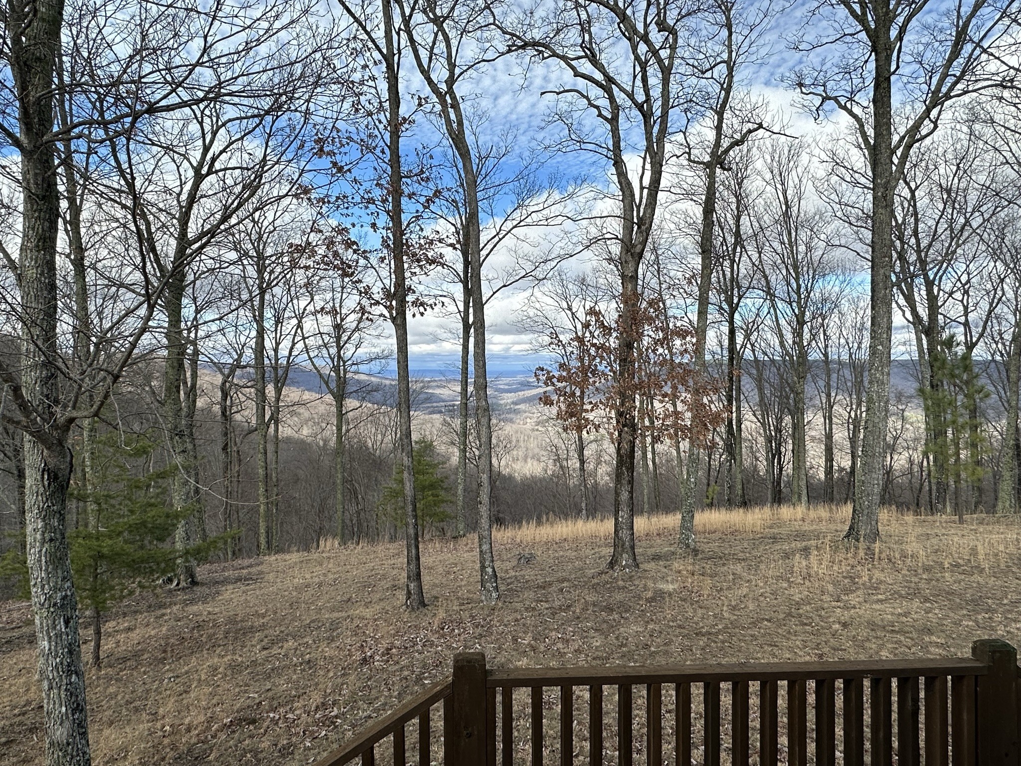 1229 Ayers Road Rock Island, TN 38581 - Photo 60 of 69 a backyard of a house with lots of tall trees