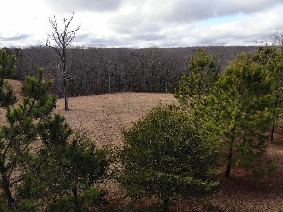 1229 Ayers Road Rock Island, TN 38581 - Photo 65 of 69