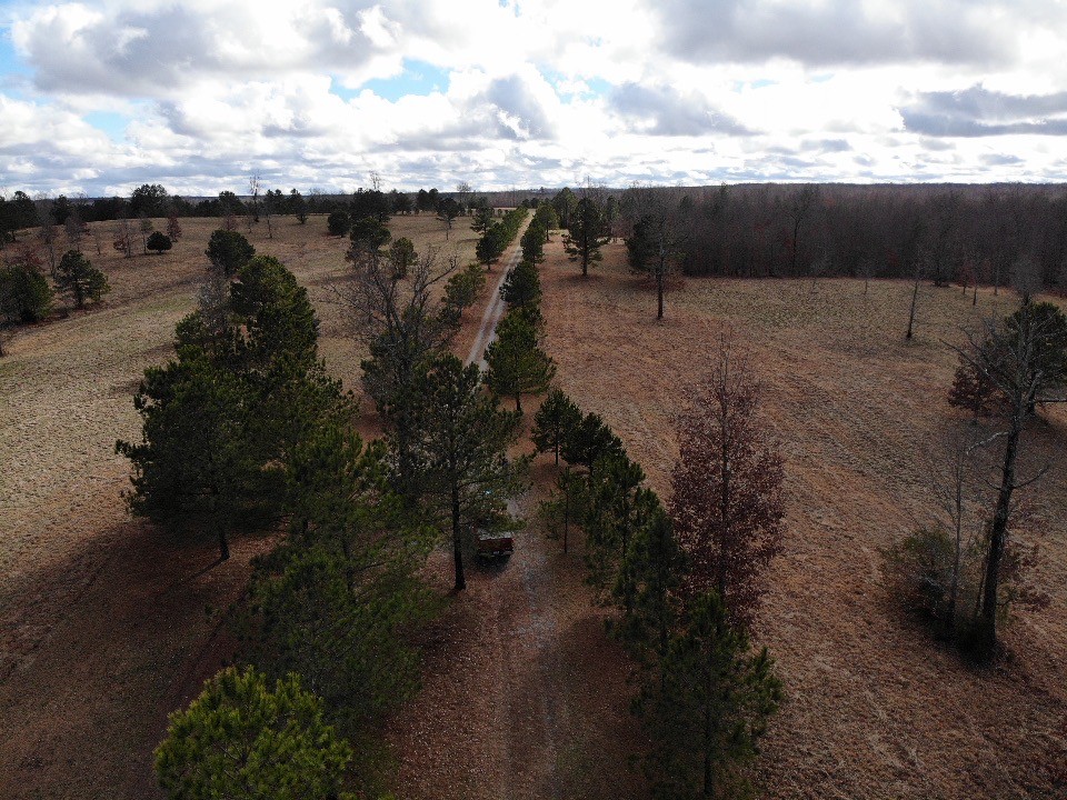 1229 Ayers Road Rock Island, TN 38581 - Photo 67 of 69