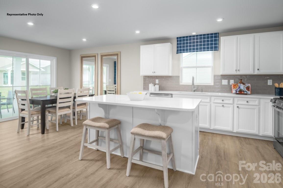 216 Maggys Way Pageland, SC 29728 - Photo 4 of 12