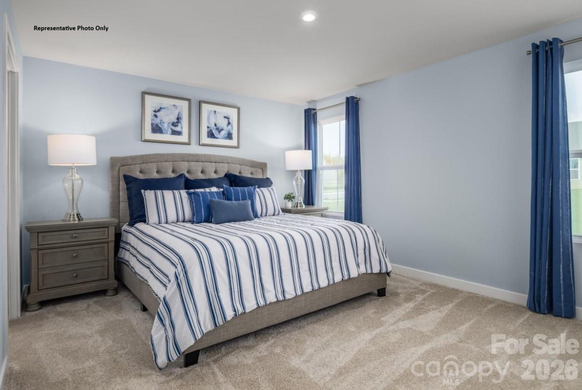 216 Maggys Way Pageland, SC 29728 - Photo 6 of 12