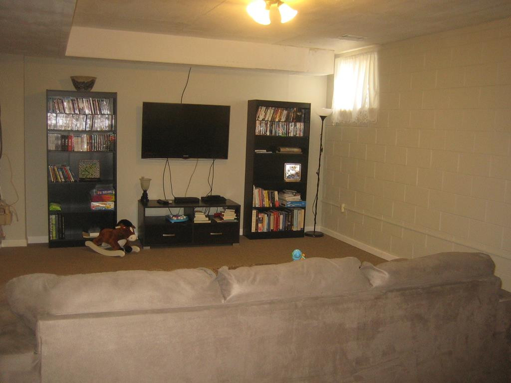 120 Brighthop Road Trenton, SC 29847 - Photo 34 of 43 Finished basement Great Room detail