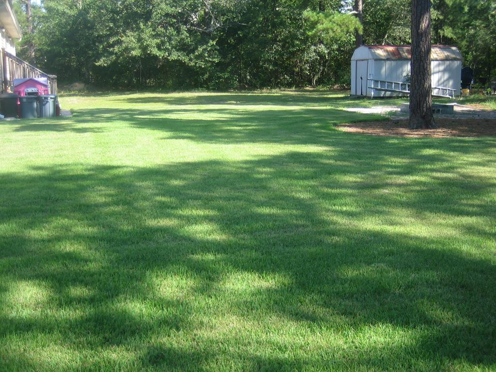 120 Brighthop Road Trenton, SC 29847 - Photo 8 of 43 Backyard