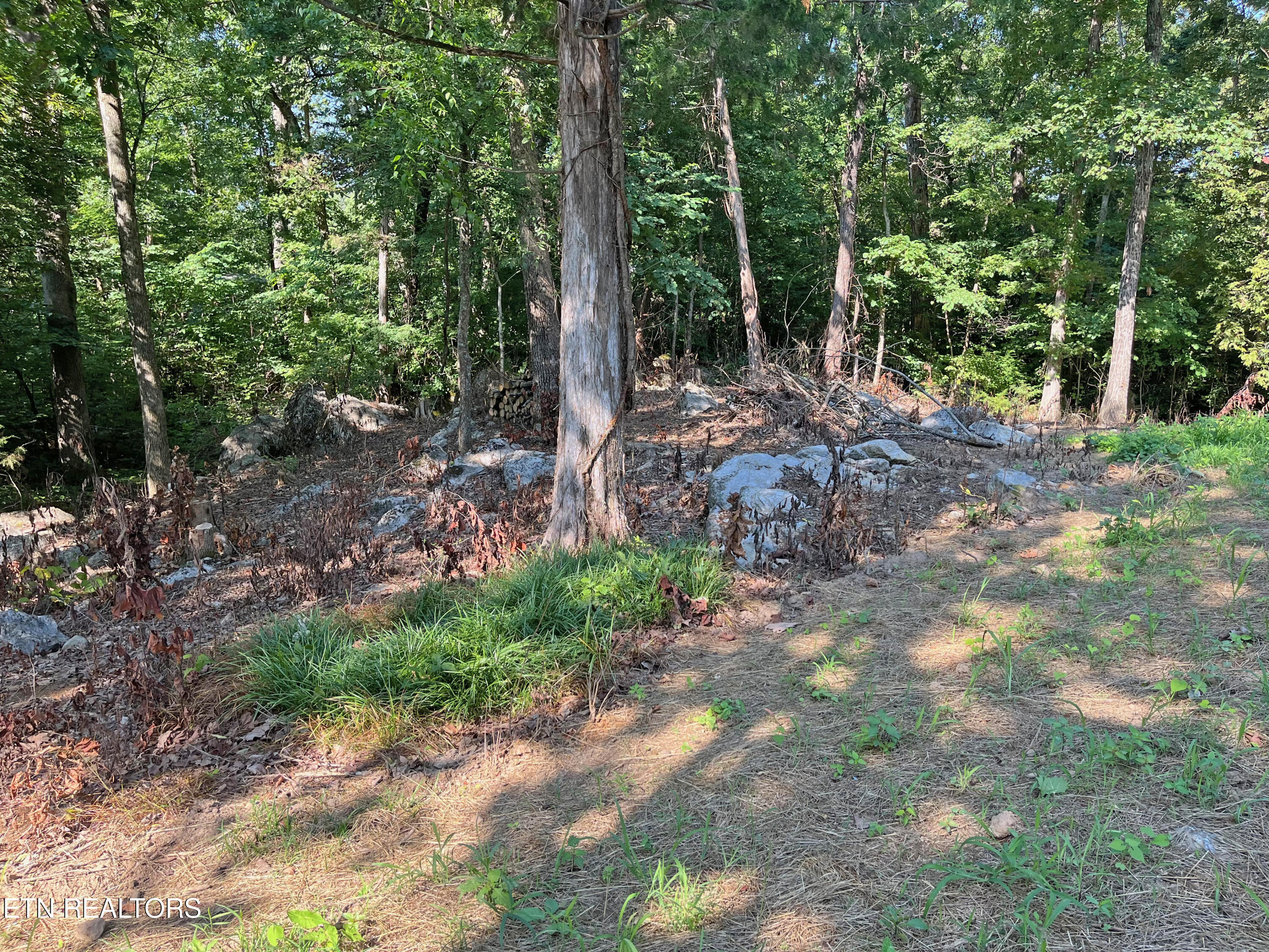 107 Humphreys Road Greeneville, TN 37743 - Photo 5 of 20 Gazebo spot