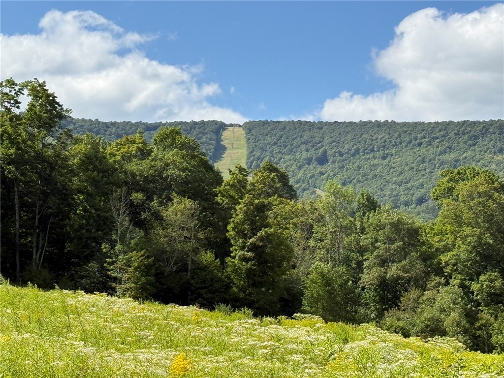 0 Lower Meeker Hollow Road Roxbury, NY 12474 - Photo 3 of 10 View of Plattekill