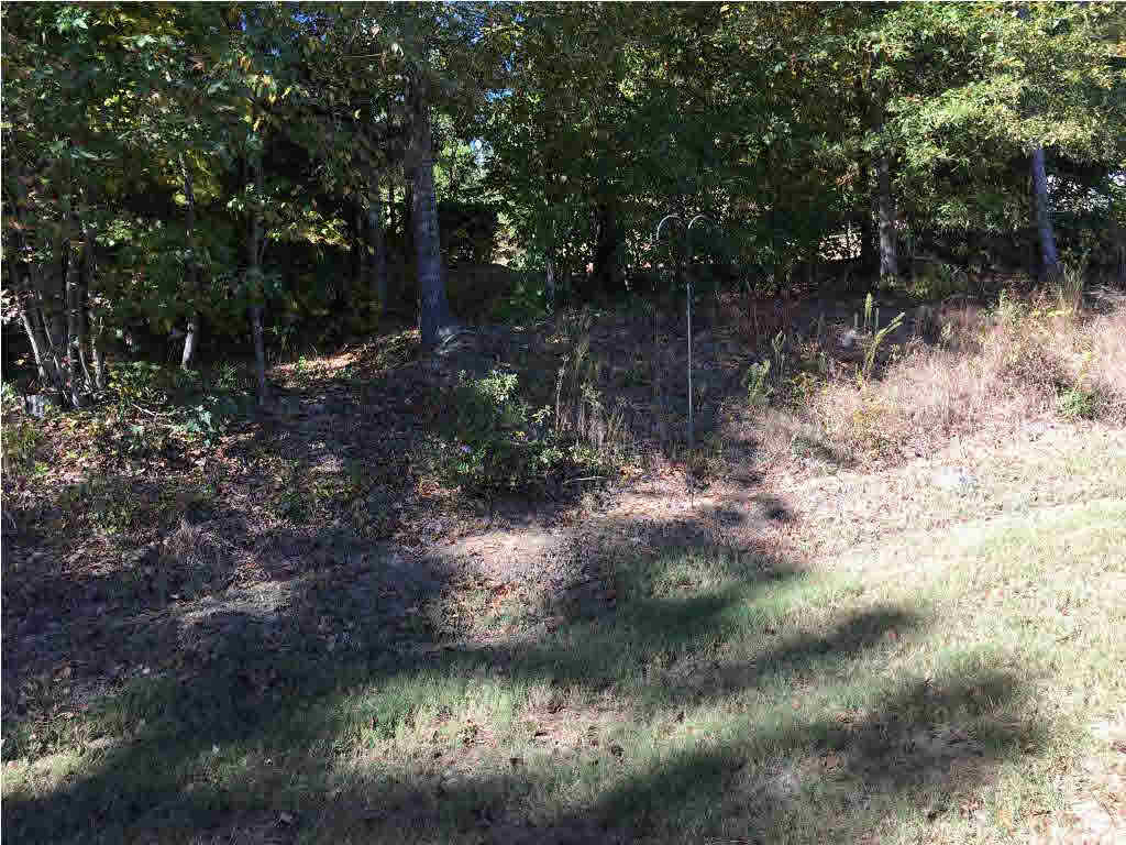 207 Glensview Cove Brandon, MS 39047 - Photo 16 of 16 Photo 16