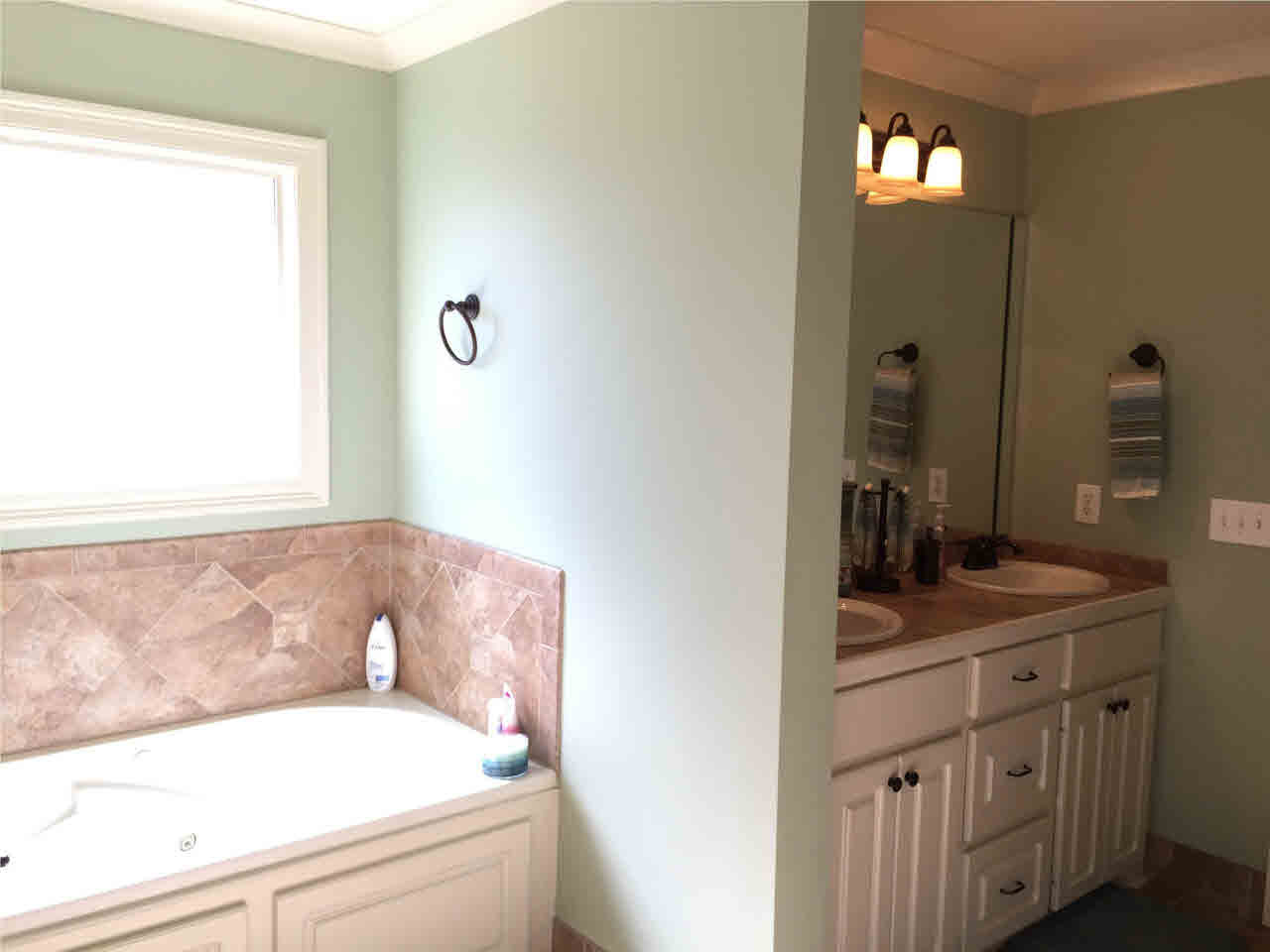 207 Glensview Cove Brandon, MS 39047 - Photo 10 of 16 Photo 10