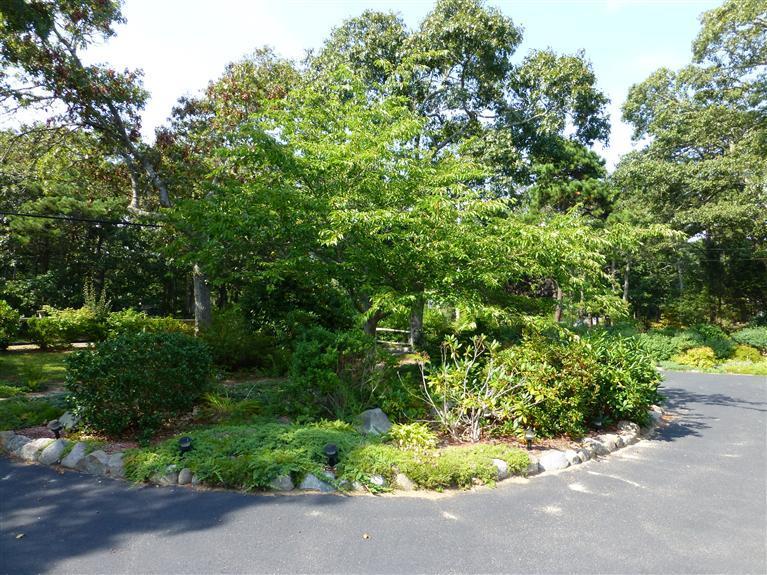 750 School House Road Eastham, MA 02642 - Photo 16 of 30 Additional Photo