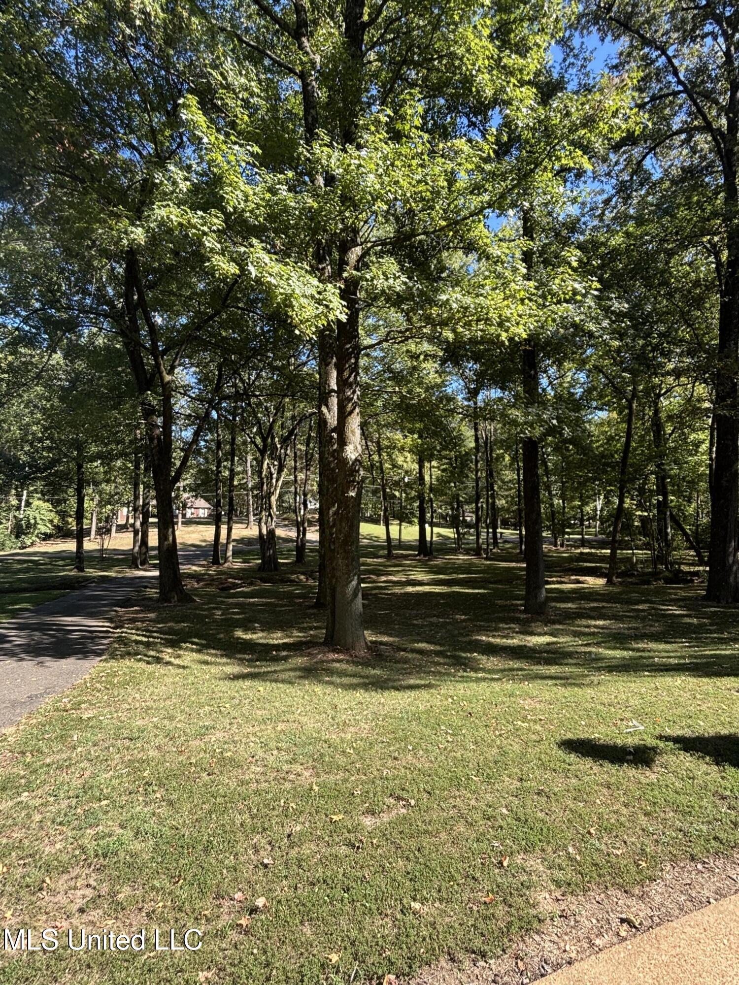 7465 Broken Hickory Drive Walls, MS 38680 - Photo 6 of 26 Photo Oct 04 2025, 2 52 10 PM