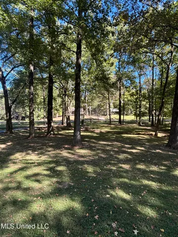 $289,900 | 7465 Broken Hickory Drive, Walls, MS 38680