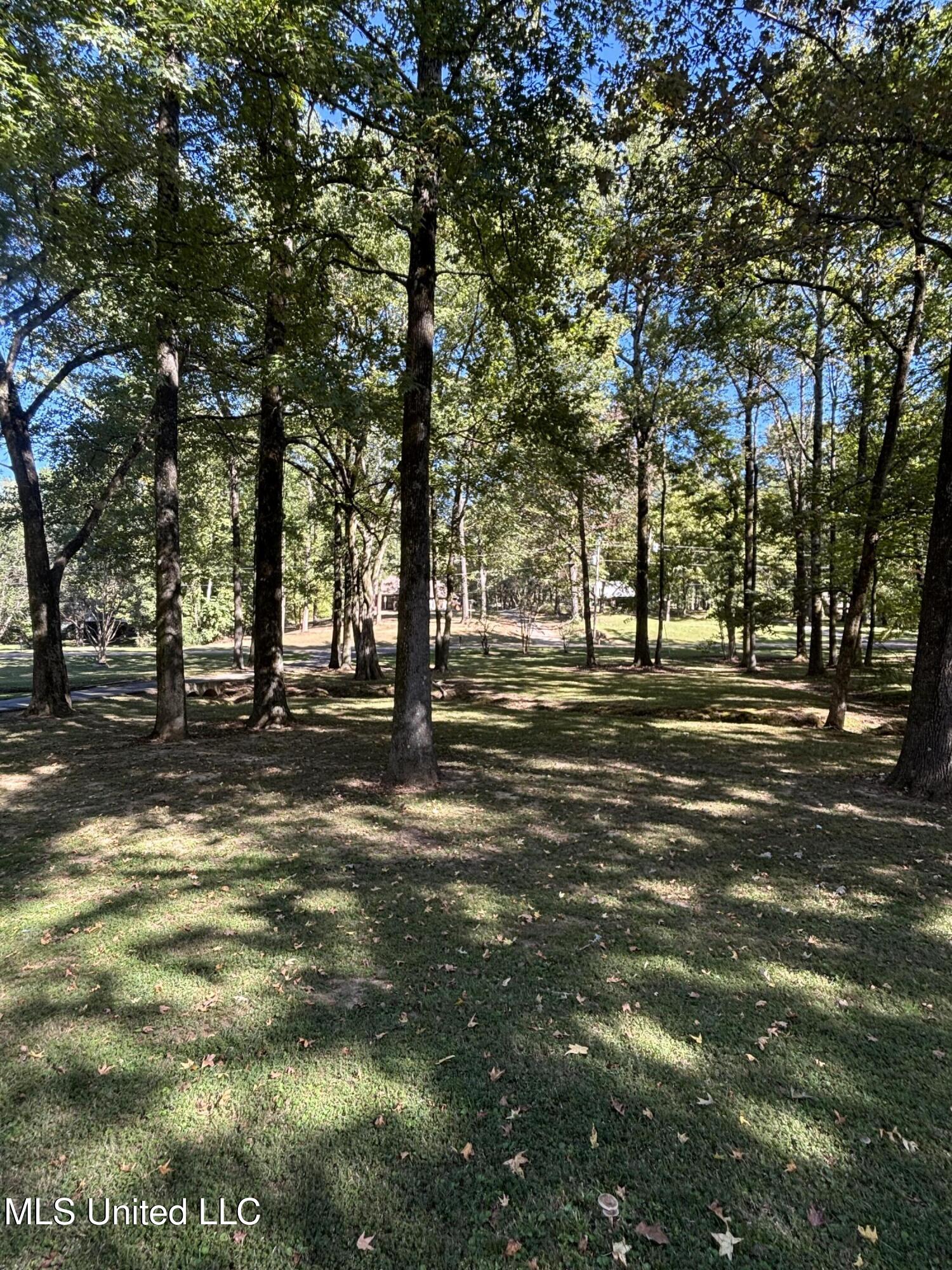 7465 Broken Hickory Drive Walls, MS 38680 - Photo 7 of 26 Photo Oct 04 2025, 2 53 04 PM