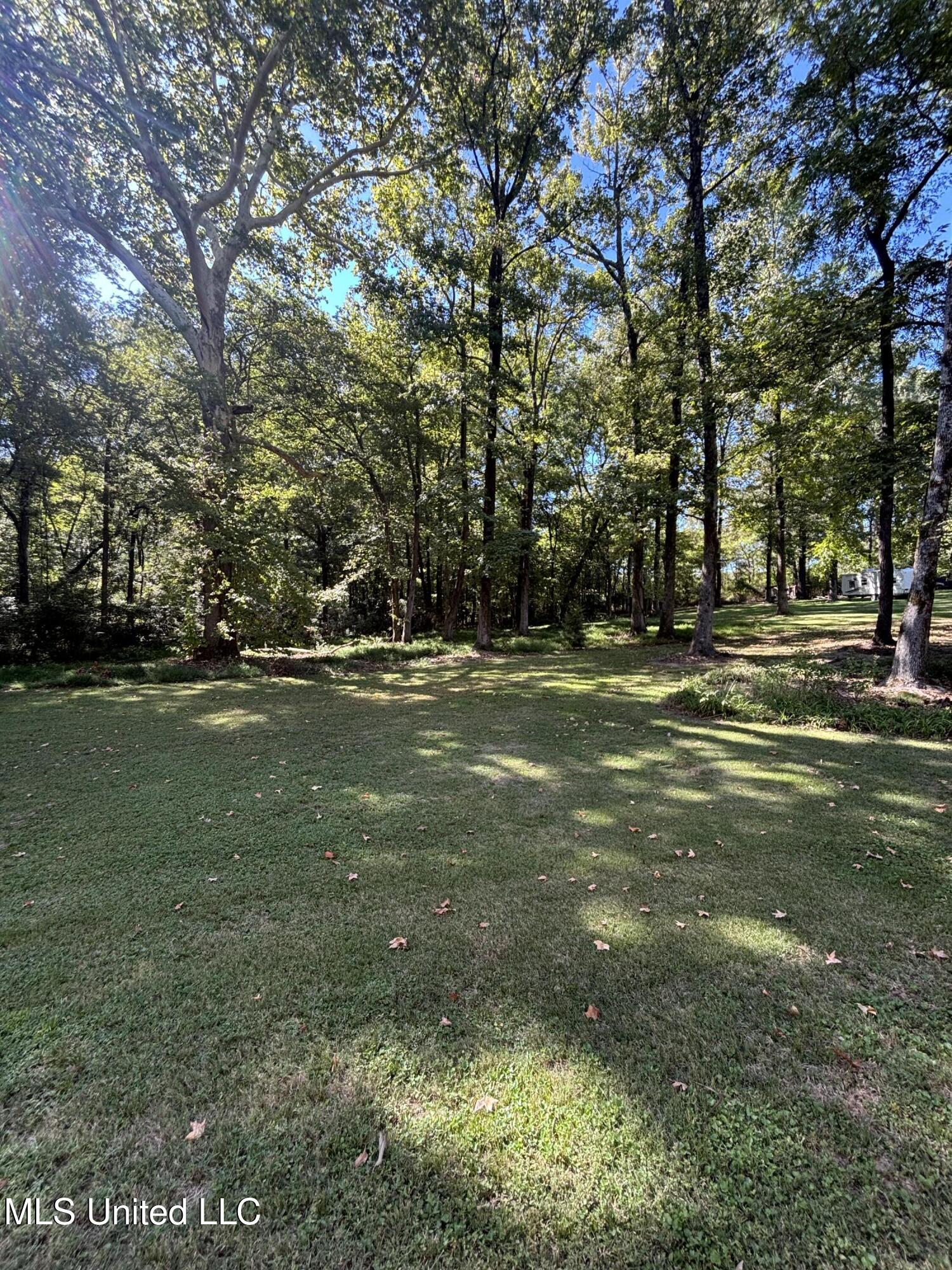 7465 Broken Hickory Drive Walls, MS 38680 - Photo 8 of 26 Photo Oct 04 2025, 2 55 30 PM