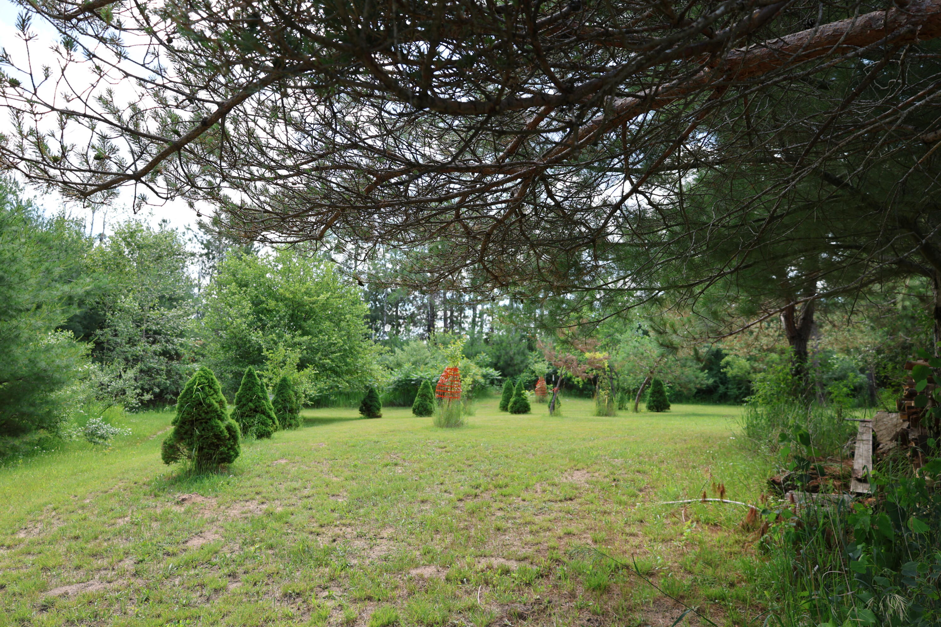 11179 Hossler Road Atlanta, MI 49709 - Photo 27 of 100 IMG_0097
